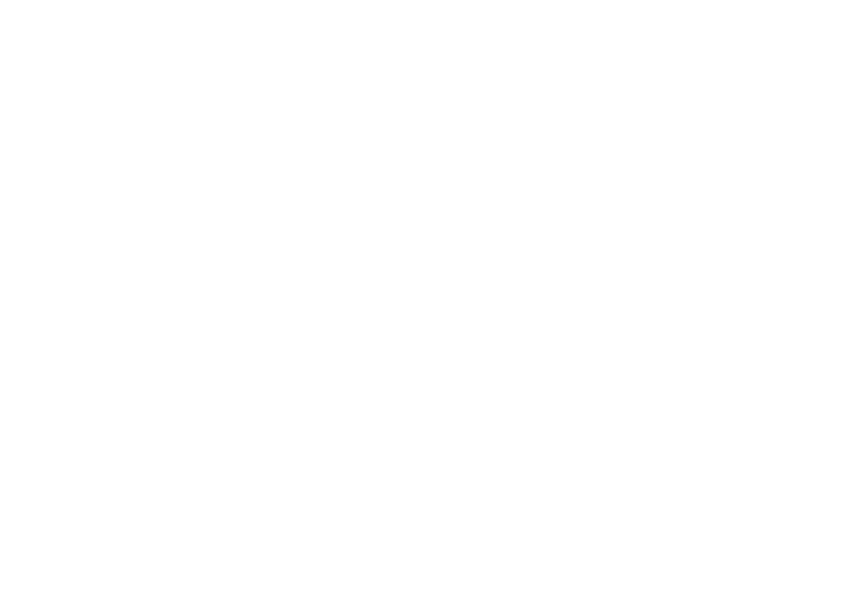 StgoSlow